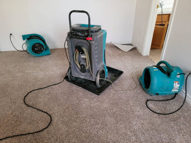 Best Fire Damage Restoration  in Whitehall, WI