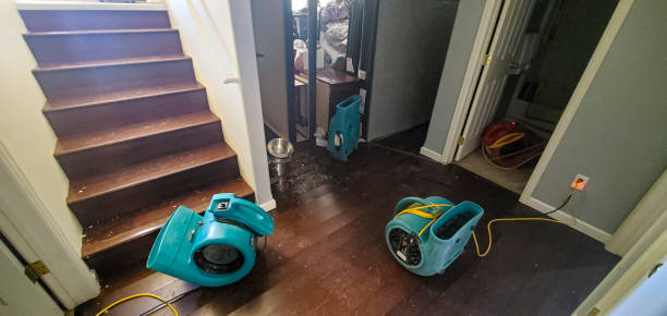 Best Flooded house restoration  in Whitehall, WI