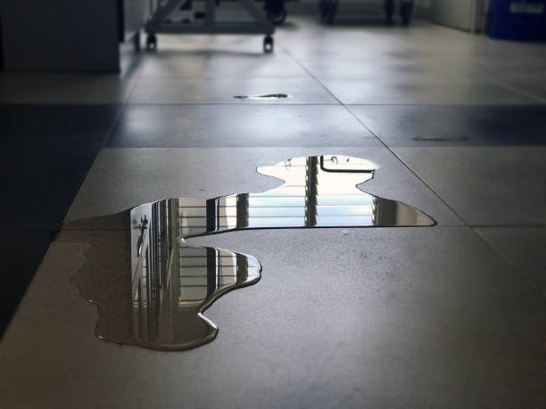 Best Water damage restoration near me  in Whitehall, WI