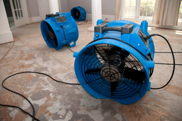Best Water damage contractors near me  in Whitehall, WI