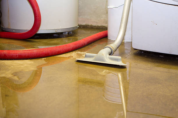 Best Flood damage cleanup  in Whitehall, WI