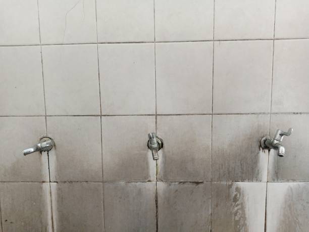 Best Residential water damage restoration  in Whitehall, WI