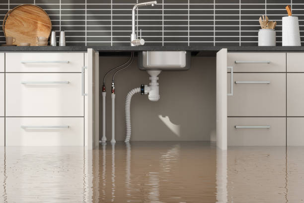 Best 24-hour water damage restoration  in Whitehall, WI