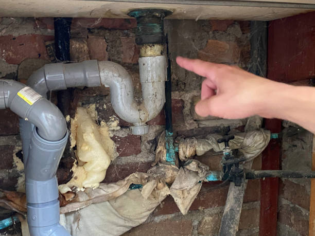 Best Flood restoration services  in Whitehall, WI