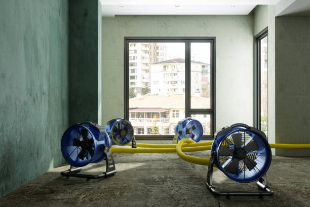 Best Ceiling water damage repair  in Whitehall, WI